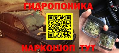 ГАЛЛЮЦИНОГЕННЫЕ ГРИБЫ Пугачёв